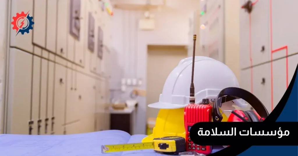 مؤسسات السلامة